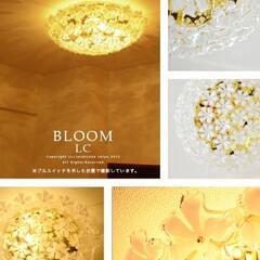 ブルーム　シーリングライト　プルメリア　シャンデリア　フラワー 電気 照明の画像