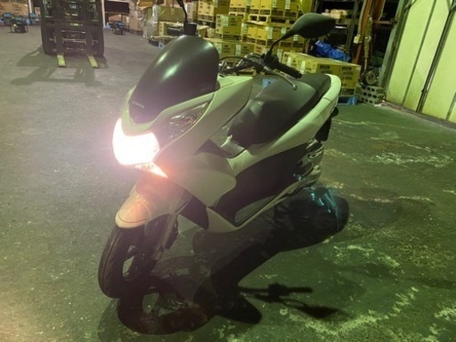 自賠責2年付き　白　pcx