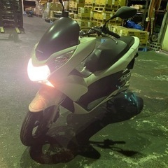 自賠責2年付き　白　pcx