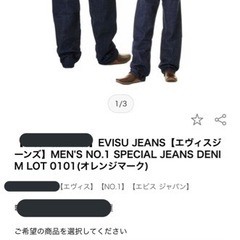 エヴィススペシャルデニムユーロカモメW34-W34の画像