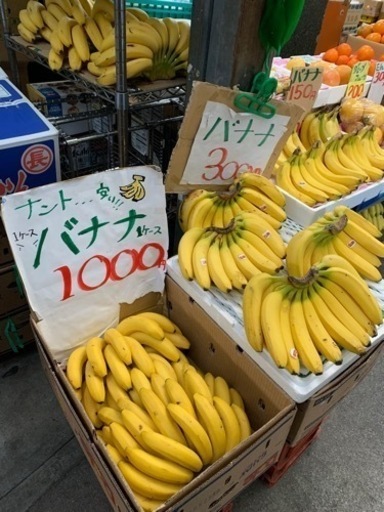 バナナ1ケース  1000円