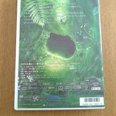 【お取引中】となりのトトロ　DVD　２枚組の画像