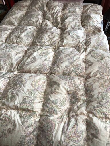 羽布団 1.3kg 2枚 色違い 西川 タンポポ