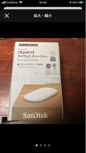 その他 SanDisk SDIZ90N-256G