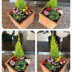 花壇 施工  レンガ  お庭づくり お任せ下さい!! - 地元のお店