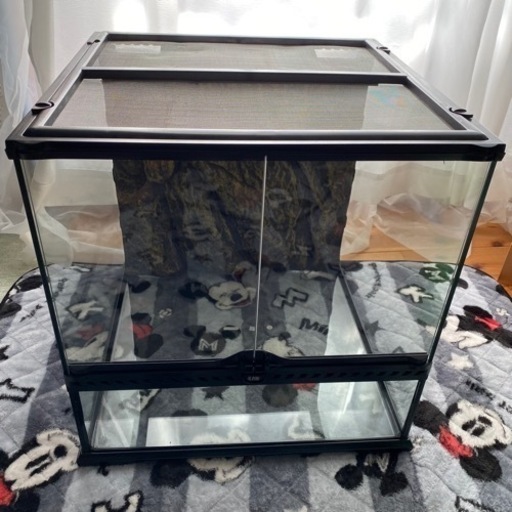 グラステラリウム4545