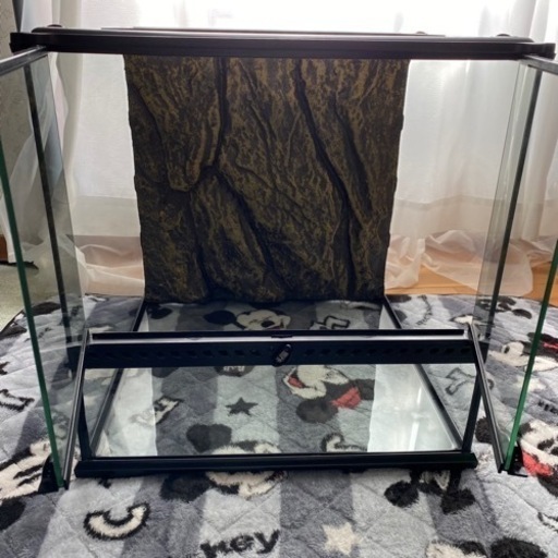 購入 グラステラリウム4545 Amazon.co.jp: GEX EXOTERRA グラス