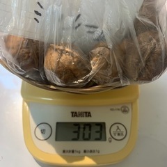 オニグルミ