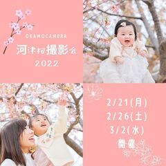 河津桜撮影会のお知らせ