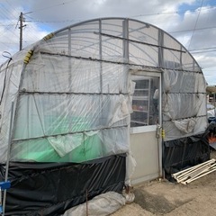 ビニールハウス【終了】の画像
