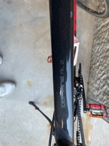 TREK  DOMANE AL2 現状品