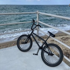 BMX FIEND 2022 20.75 マットブラック