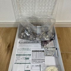 ☆エポック社 ジグソーパズル パズルの超達人 原井加代美 龍虎相搏つ～月華の図～の画像