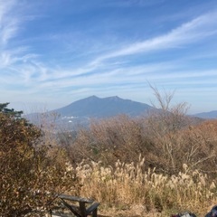 低山居酒屋部🍺🍶