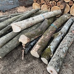 静岡県の雑木の中古が安い！激安で譲ります・無料であげます