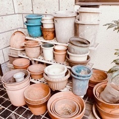 植木鉢　差し上げます🌼