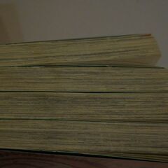 花とゆめコミックス　スキップビート　仲村佳樹　１４～１７巻　の画像