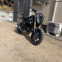 グロム スタントケージ エクストリームの画像