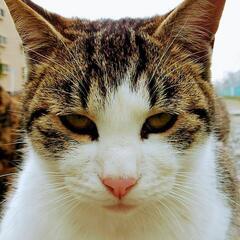 【1月限定占い体験】姓名判断体験しませんか？