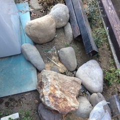 庭石（丸石）もらってくださいの画像