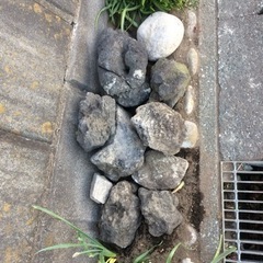 庭石（丸石）もらってくださいの画像