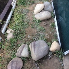 庭石（丸石）もらってくださいの画像