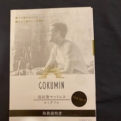 26日まで 最終値下げ【口コミ多数】【禁煙者・ペット無】美品 セミダブル 低反発マットレスの画像
