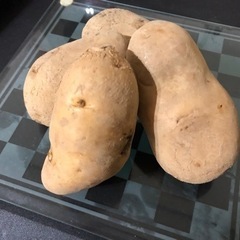 【送料無料】じゃがいも種芋　珍品種も！？　銘柄いろいろ　1キロ〜の画像