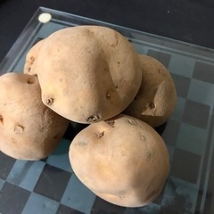 【送料無料】じゃがいも種芋　珍品種も！？　銘柄いろいろ　1キロ〜の画像