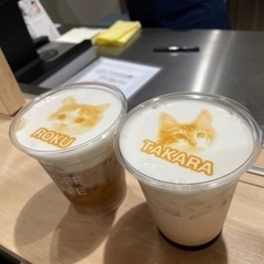 ネコカフェ行きませんか？？ - 友達