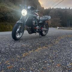01/22どなたかツーリングいかがですか！