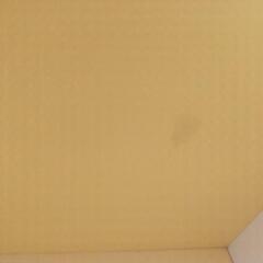 受付1/23まで 譲ります☆カラーボックス 黄色 の画像