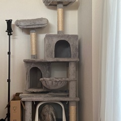 猫タワーの画像