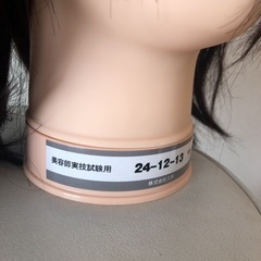 ★標準仕様適合モデルウィッグ★2体の画像