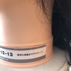 ★標準仕様適合モデルウィッグ★2体の画像