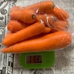 にんじん、さつまいも、じゃがいも、収穫しました!!③