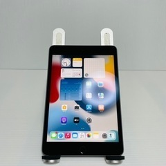 iPad mini5