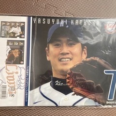 埼玉西武ライオンズクリアファイルの画像