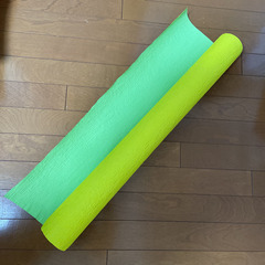 東京リボン ビスクレープ(幅72cm) ライム&イエロー