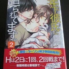 年下彼氏に迫られてます。BL2冊の画像