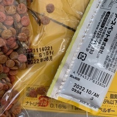 猫の砂、ご飯、オムツもらってください。の画像