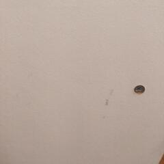 受付1/23まで 譲ります☆カラーボックス 白 2段の画像