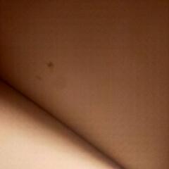 受付1/23まで 譲ります☆カラーボックス 白 2段の画像