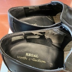 REGAL 25.0の画像
