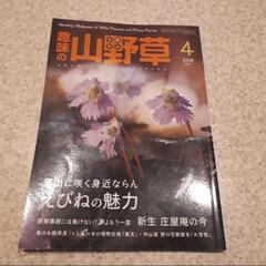 趣味の山野草　2018　本　雑誌　栃の葉書房　4月　エビネ　えび...