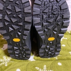 2時間限定　20時30分まで　本日引取のみの画像