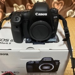 キャノン　6Dマーク2 美品