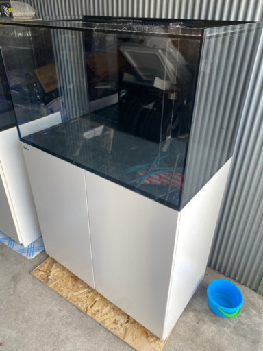 レッドシー　リーファー250