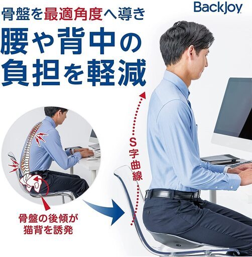 BackJoy Relief　引取限定