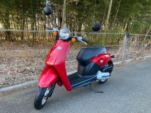 かわいい原付　ホンダ　トゥデイ　原付　スクーター　バイク